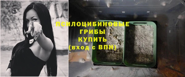хмурый Арсеньев