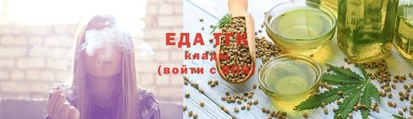 хмурый Арсеньев