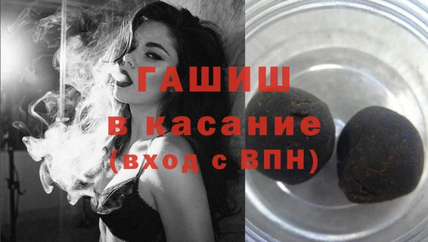 сатива Белокуриха