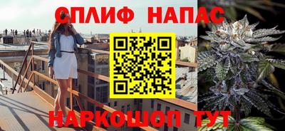 бошки Волгодонск