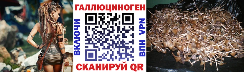 Псилоцибиновые грибы мухоморы  закладка  Кировск 