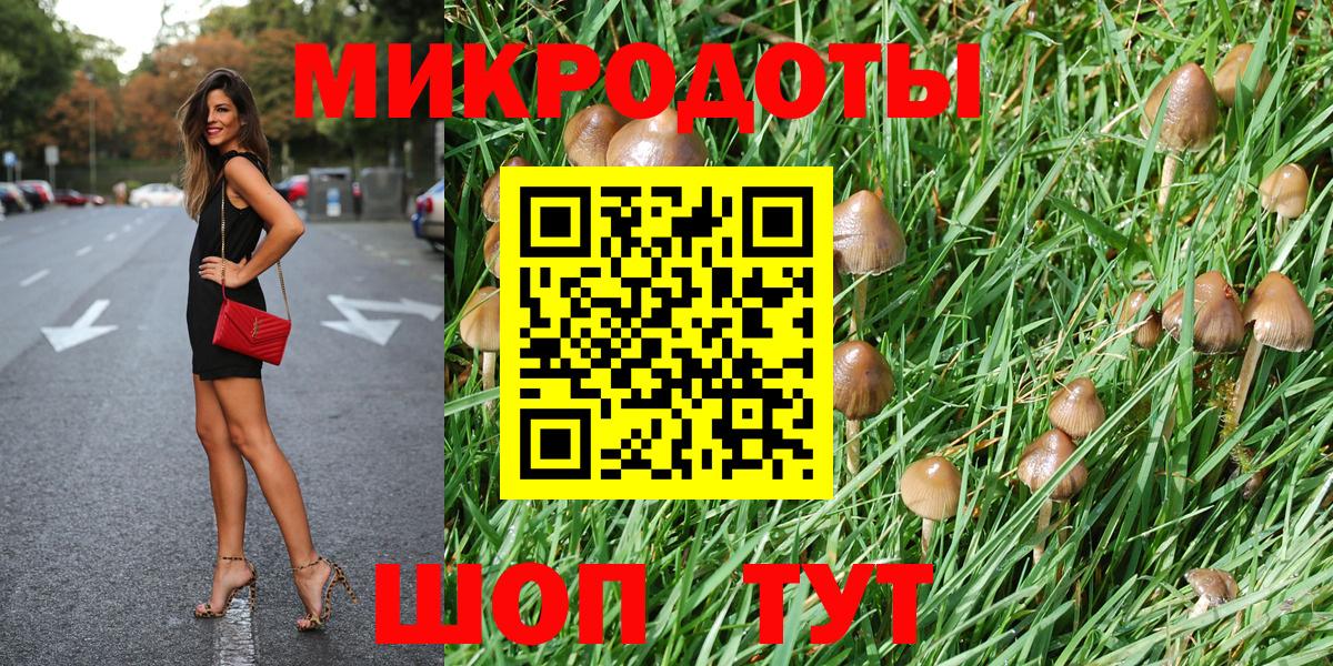 Псилоцибиновые грибы мицелий Кировск