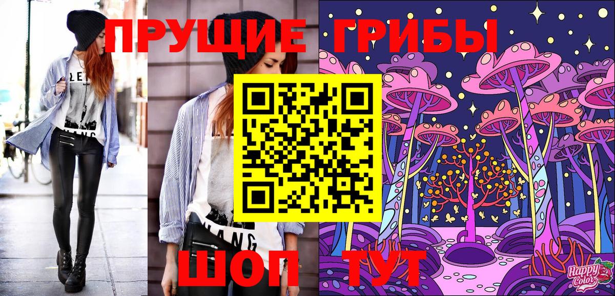 Кировск  Псилоцибиновые грибы MAGIC MUSHROOMS  Псилоцибиновые грибы Cubensis  Вход с VPN 